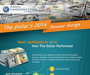 The Dollar's 2014 Power Surge