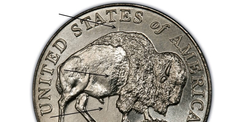 2005 speared buffalo nickel