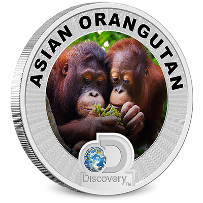 2017 Discovery Channel Asia Silver Coin Orangutan
