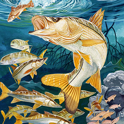 Guy Harvey Collection Series 2 - Snook