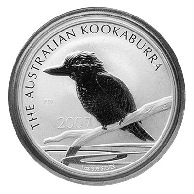 australian silver kookaburra