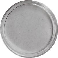 plastic coin capsule fits silver