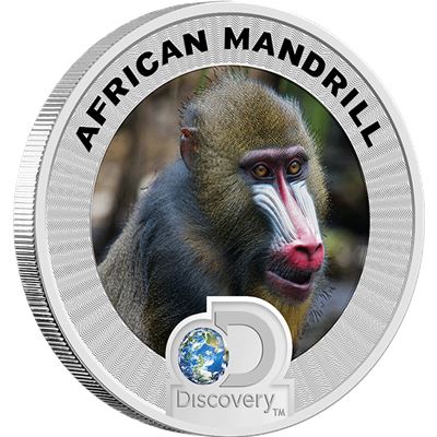 discovery channel endangered species africa