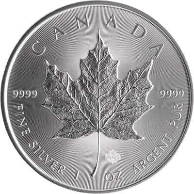 spotted canadian silver maple leaf