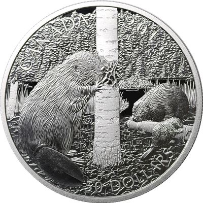 canada beaver family silver proof