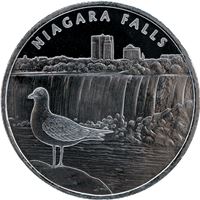 niagara falls silver round pure