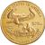 american gold eagle coin brilliant