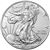 american silver eagle type coin