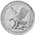 american silver eagle coin