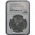 mexico silver pesos independence ngc