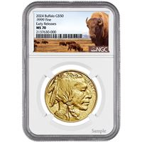 american gold buffalo coin ngc