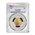 american gold eagle coin pcgs