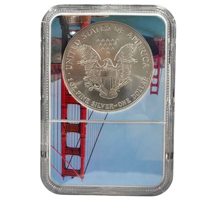 silver american eagle ms69 bridge