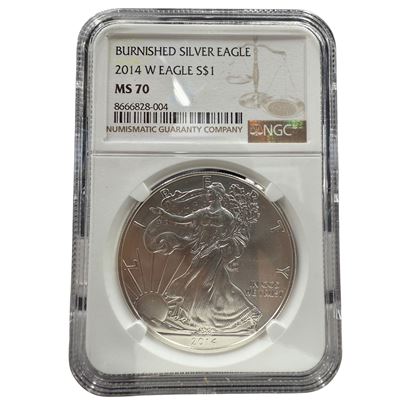 burnished silver american eagle ngc