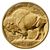 american gold buffalo